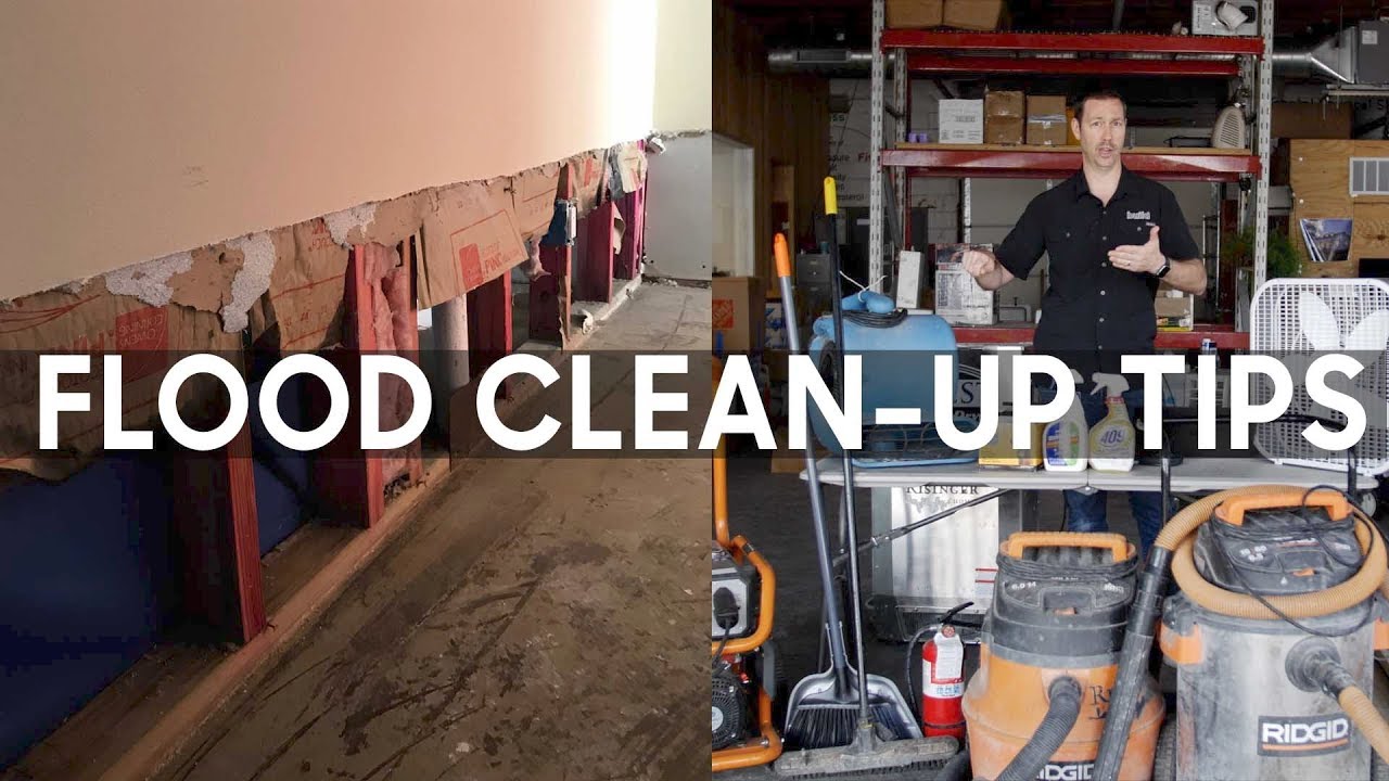 Water damage: the first hour guide thumbnail