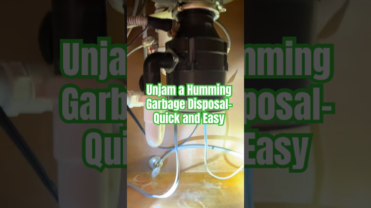Reset a jammed garbage disposal guide thumbnail